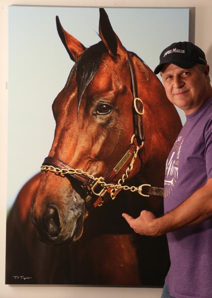 American Pharoah, 2015 Triple Crown Champion picture