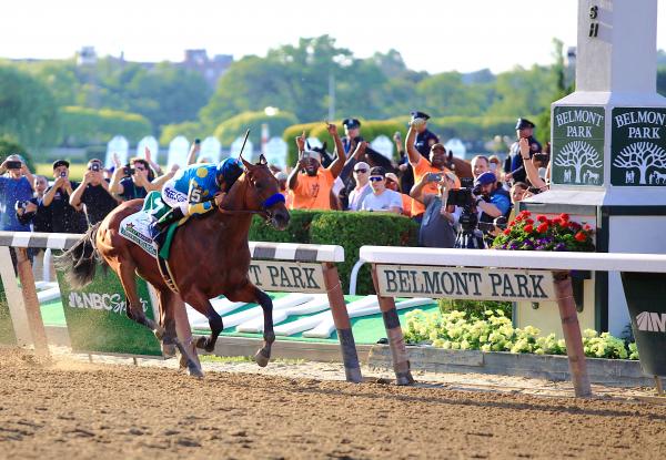 American Pharoah 2015 Grand Slam Collector's Frame picture