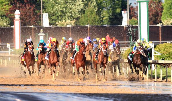 #8728, "Derby Front Stretch", 143rd Kentucky Derby, Churchill Downs, Kentucky picture