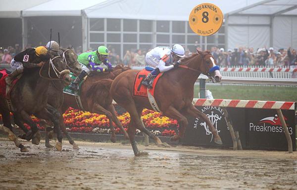 2018 Justify Triple Crown Collector's Frame picture