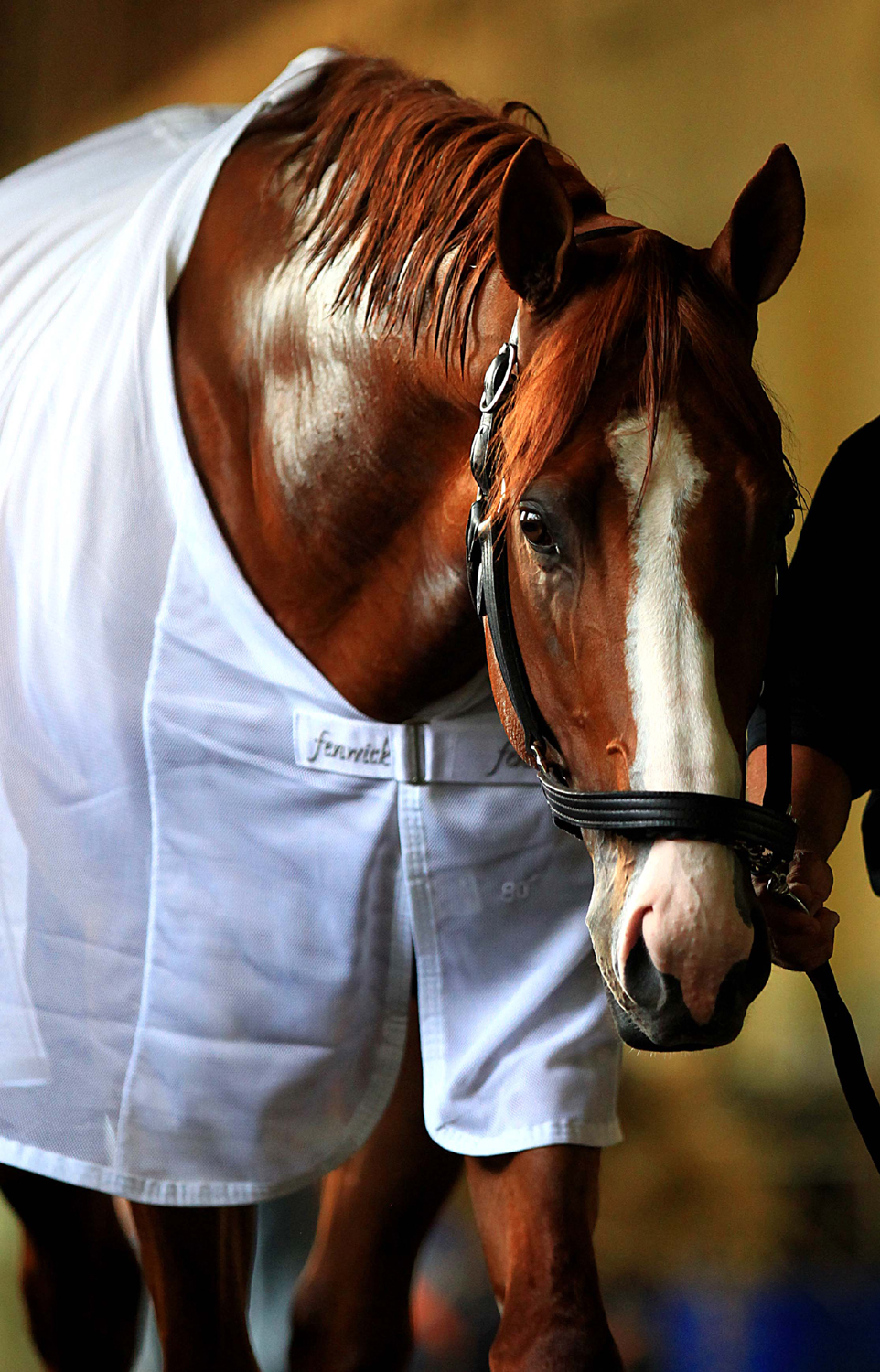 Justify 2018 Triple Crown Collector's Frame with $2 Belmont Win Ticket picture