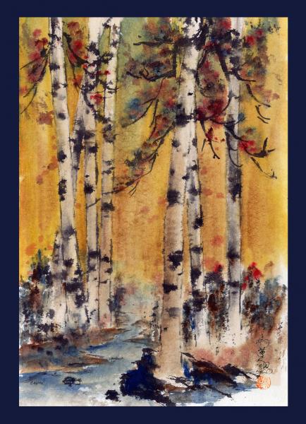 Birch Trees picture