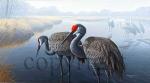 "Cranes On The Platte"  - Giclee Canvas