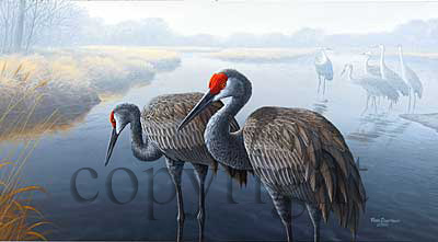 "Cranes On The Platte"  - Giclee Canvas picture