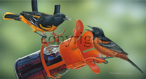 "Chatter" - Giclee Canvas picture