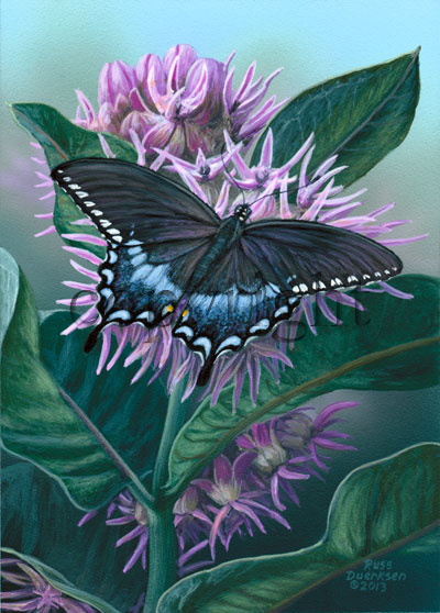 Spicebush Swallowtail - Canvas Giclee