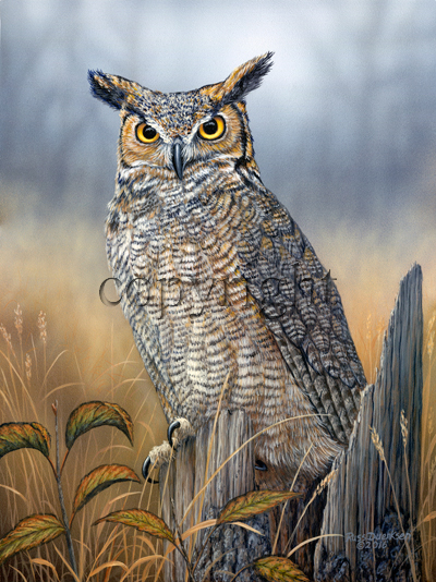 "Birds of Prey" - Great Horned Owl" - Giclee Canvas