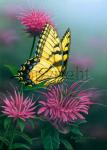 Tiger Swallowtail on Bee Balm - Canvas Giclee