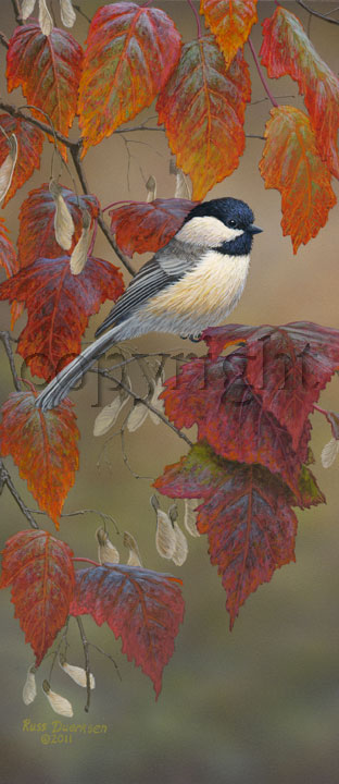 "Fall Color" - Giclee Canvas picture