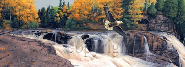 "Soaring Spirit"  - Giclee Canvas picture