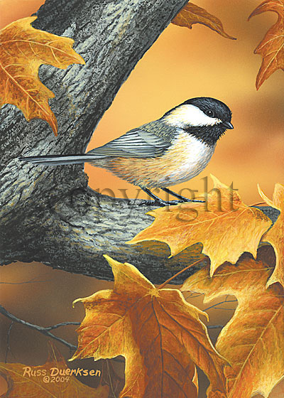 Autumn Chickadee - Giclee Canvas picture