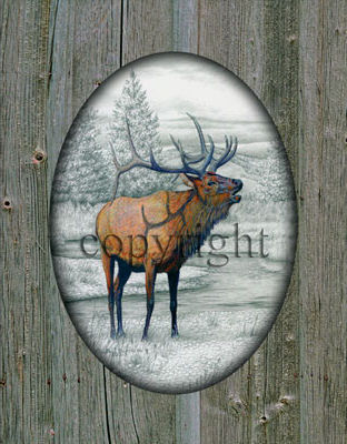 "Elk" - 11" x 14" Giclee Canvas with printed barn wood picture