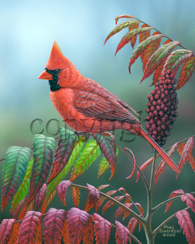 "Regal in Red" - Giclee Canvas picture