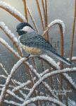 Winter Chickadee - Giclee Canvas