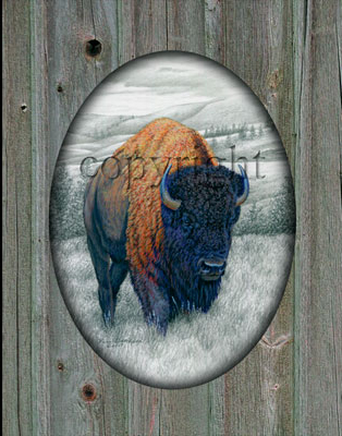 "Bison" - 11" x 14" Giclee Canvas with printed barn wood