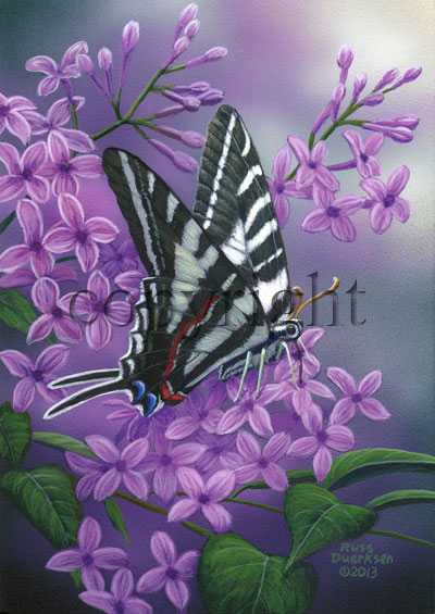 Zebra Swallowtail - Canvas Giclee picture