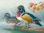 "Royal Woodies"  - Giclee Canvas