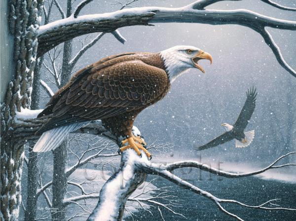 "Majestic Presence"  - Giclee Canvas picture