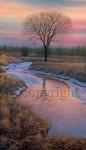 "Sunset Creek"  - Giclee Canvas