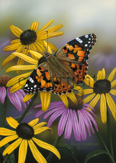 Painted Lady - Canvas Giclee picture