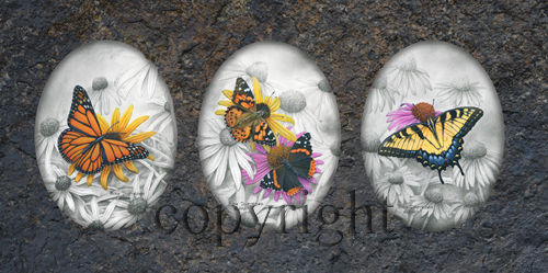 Triple Butterfly Combination  - Giclee Canvas
