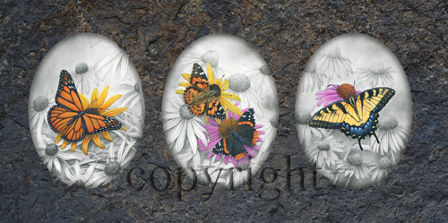 Triple Butterfly Combination  - Giclee Canvas picture