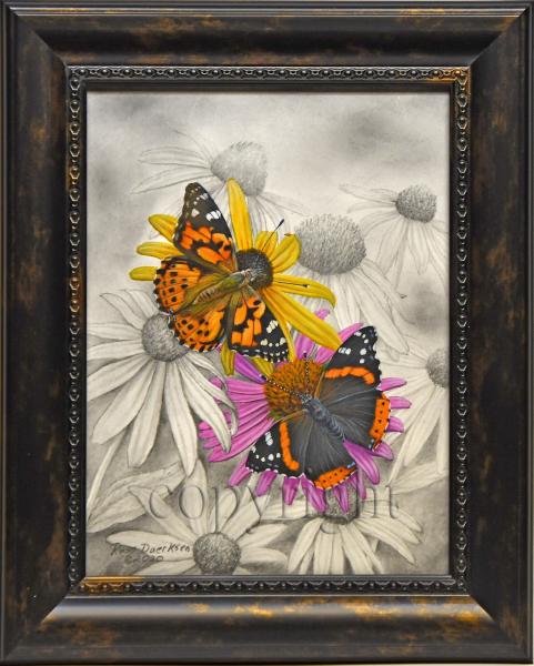 "Painted Lady and Red Admiral" - mixed media including acrylic and pencil