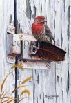 "Weathered Perch" - Giclee Canvas
