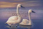 "Tundras at Dawn"  - Giclee Canvas