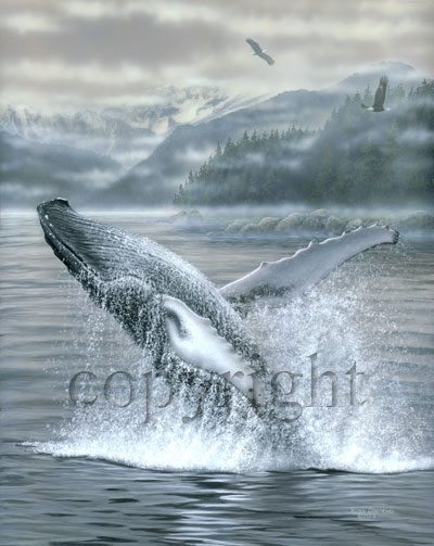 "Off the Coast" - Humpback Whale  - Giclee Canvas picture