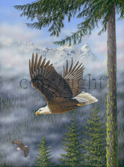 "Soaring the Olympics" - Giclee Canvas picture