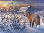 "Outfoxed Again"  - Giclee Canvas