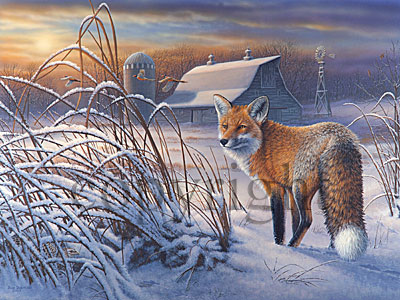 "Outfoxed Again"  - Giclee Canvas picture