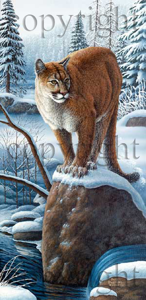 "Hide and Seek" - canvas giclee picture