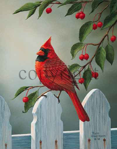 "Backyard Visitor - Cardinal" - Offset Lithos picture