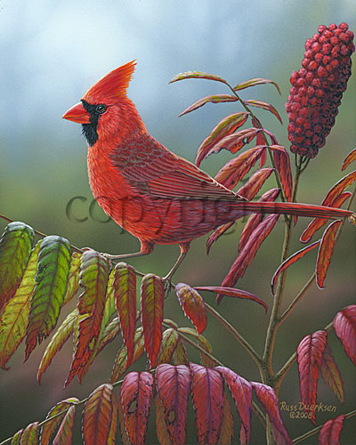 "Dressed in Red" - Giclee Canvas picture