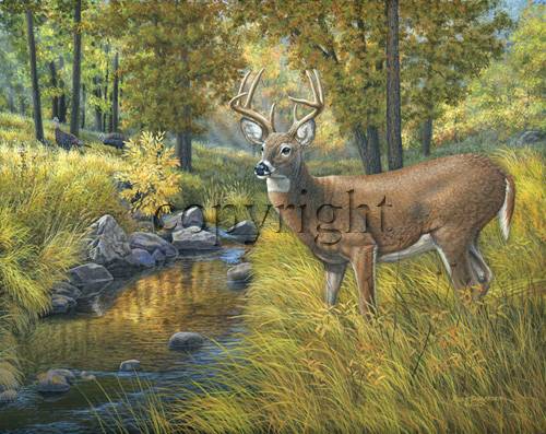 "Creekside Retreat"  - Giclee Canvas picture