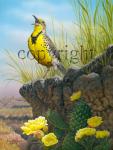 "Prairie Song" - Giclee Canvas