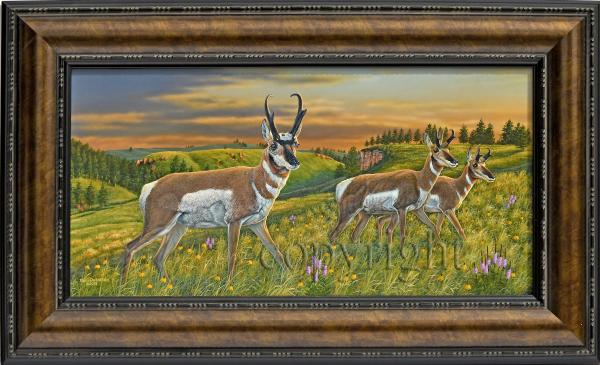 "Dakota Pronghorns" original acrylic painting picture