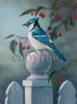 "Backyard Visitor - Blue Jay" - Offset Lithos