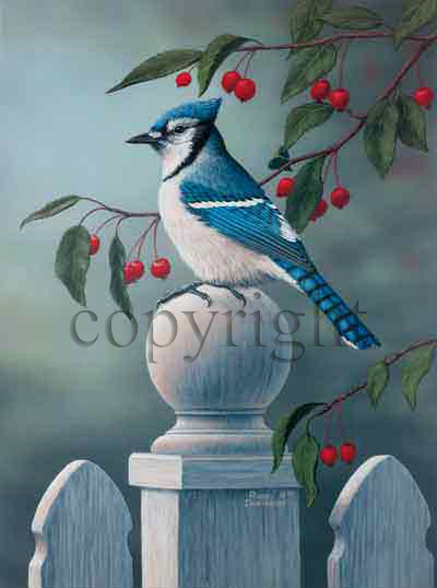 "Backyard Visitor - Blue Jay" - Offset Lithos picture