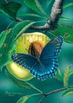 Red-spotted Purple on Yellow Apple - Canvas Giclee