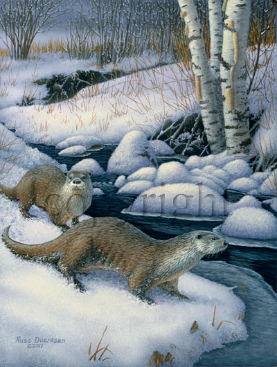 "Wandering Otters"  - Giclee Canvas