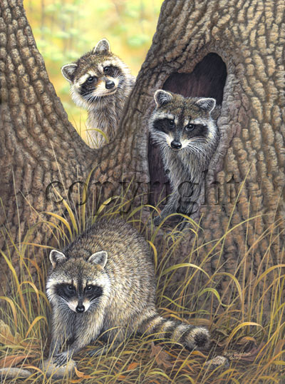 "Triple Trouble"  - Giclee Canvas picture