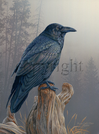 "Raven's Rest" - Giclee Canvas