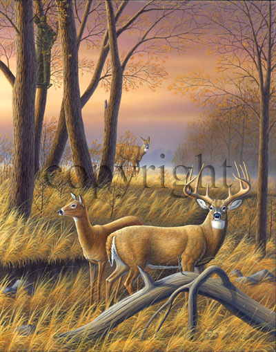 "Hidden Dangers"  - Giclee Canvas picture