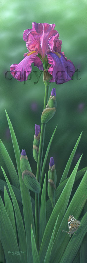 "Spring Treasure" - Giclee Canvas