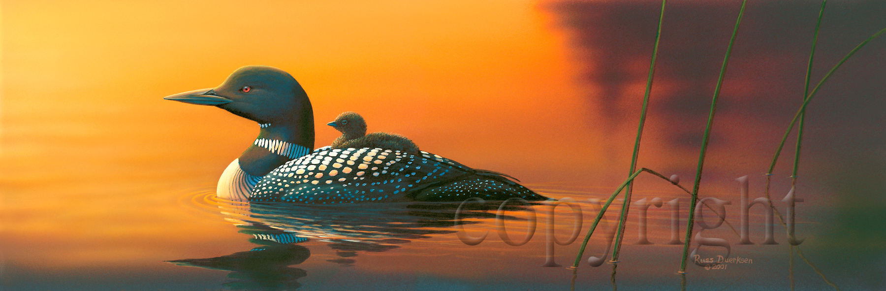 "Into The Sunset"  - Giclee Canvas picture