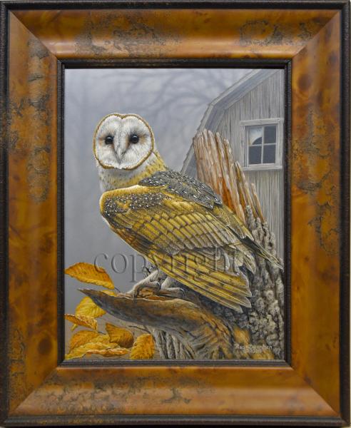 "Birds of Prey - Barn Owl" - original acrylic painting