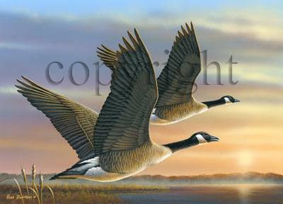 "A New Dawn"  - Giclee Canvas picture